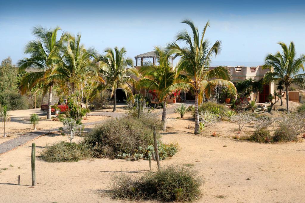 Flora Del Mar Hotel Todos Santos Exterior foto