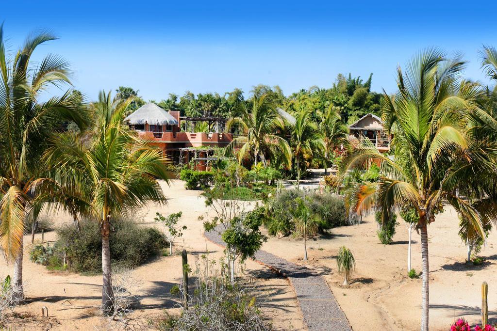 Flora Del Mar Hotel Todos Santos Exterior foto